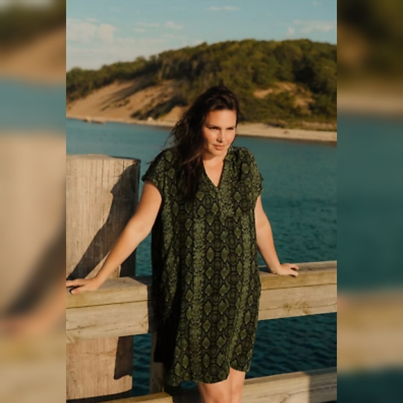 Anthropologie Rachel Tunic Dress SIZE L NWOT - Picture 5 of 15